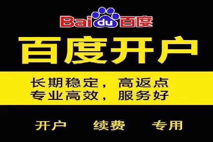 成功之道：竞价推广公司经典案例分析